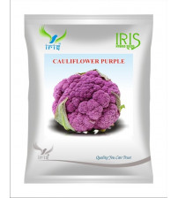 Iris OP Cauliflower Purple 10 grams